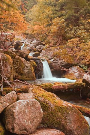 Stanisoara river in Retezat mountains, Romania.の写真素材