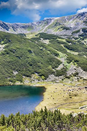 Slaveiu Ridge and Lia Lake in Retezat Mountains, Romania.の写真素材