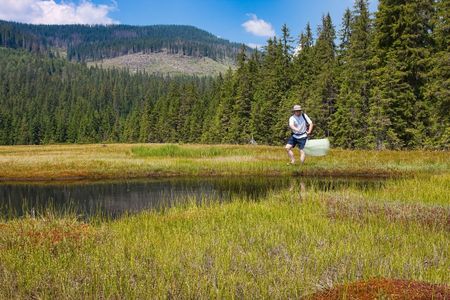 Biologist researching insects in a bog in Romania.の写真素材