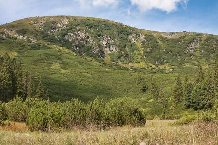 Surianu peak in the Carpathian Mountains, Romania.の写真素材