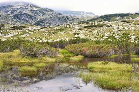 Landscape in Retezat Mountains, close to Lia Lake.の写真素材