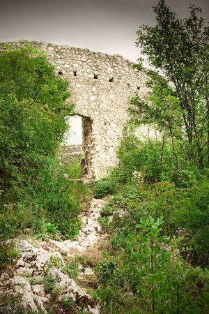 Crivadia tower ruins in Romaniaの写真素材