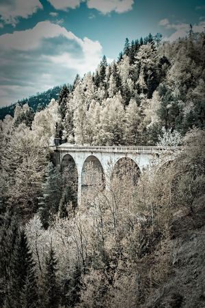 Landscape of a bridge cutting through the forest in Romaniaの写真素材