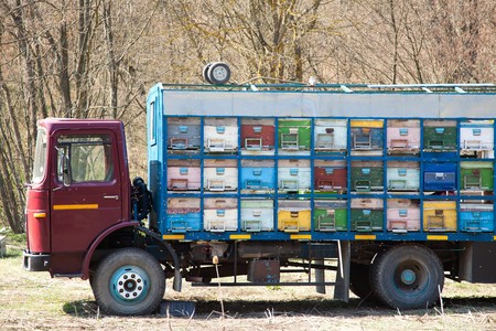 Colorful truck filled with beehives in spring in Romania.の写真素材