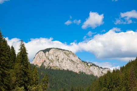 Summer landscape of Hasmas Mountains in Romania.の写真素材