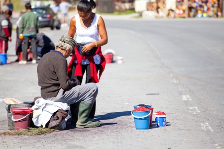 BUCIN PASS, ROMANIA - AUGUST 21: Poor people selling berries to tourists in Bucin Pass on August 21, 2010 in Harghita County, Romania.のeditorial素材