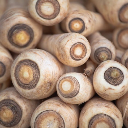 Square view on parsley roots at the market.の写真素材