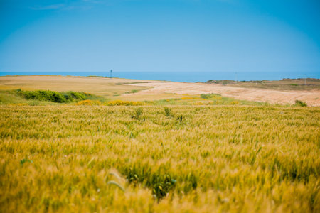 Summer countryside landscape at Karatas, in Turkey.