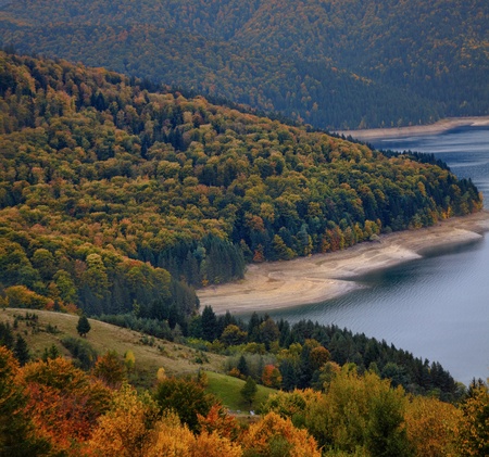 Autumn foliage on the side of Izvorul Muntelui lake in Romania.の写真素材