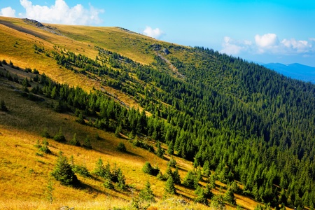 Summer landscape at high altitude in Tarcu Mountains, Romania の写真素材
