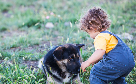 Portrait of 1 year old baby boy playing with his dog friend.の写真素材