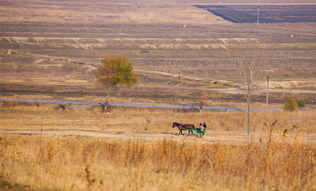 Horse drawn carriage on the country road from Stanca village, Iasi, Romania.の写真素材