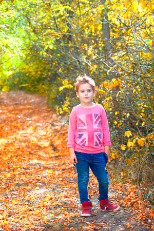 5 year old boy portrait outdoor in autumn.の写真素材