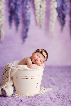 Newborn baby girl, 12 days old, studio session.の写真素材