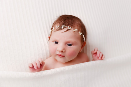 Newborn baby girl, 12 days old, studio session.の写真素材