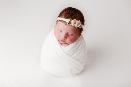Newborn baby girl, 12 days old, studio session.の写真素材