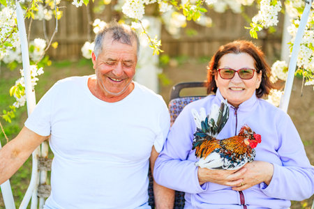 Middle aged couple, in real life environment,, laughing happily in the orchard, with the woman holding a rooster.の写真素材