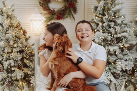 Happy studio portrait of preteen siblings or cousins in a festive Christmas setting, playing with their dog. Surrounded by warm lights and holiday decorations, they share joyful moments, capturing the magic and warmth of the season.の写真素材