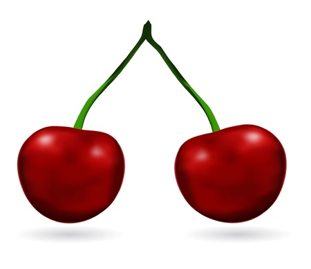vector cherry isolated on whiteのイラスト素材