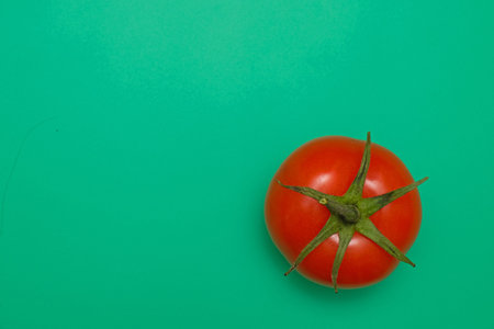 red tomato vegetable with branch on green background