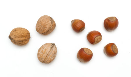 hazelnut and walnut top view isolated on white background