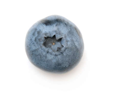 single fresh blueberry berry isolated on white background top viewの写真素材