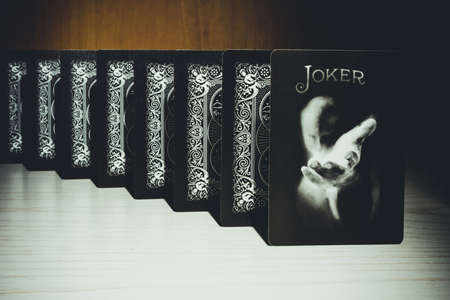 A Joker of Bicycle Black Ghost Second Edition Playing Cards deck on a wooden background, close up shot. A Joker card on a wooden background. Russia, Saint-Petersburg, 12 June 2022.のeditorial素材