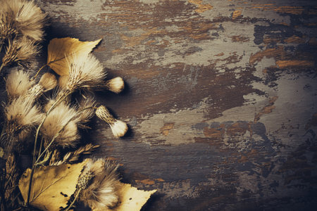 Autumn background of dried flowers and leaves. Flat lay, top view, copy space. Autumn, fall concept.の写真素材