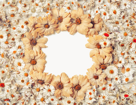 Autumn frame of dried flowers. Autumn composition of dried chamomile. fall concept. Autumn background. Flat lay, top view with copy space.の写真素材