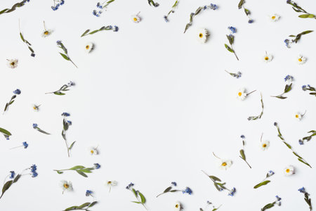 Autumn frame composition with copy space. Pattern made of dried flowers on a white background. Flat...