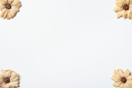 Autumn frame composition made of dried flowers. Pattern made of dried flowers on a white background. Flat lay, top view, copy space.の写真素材