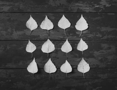Autumn pattern of dried birch leaves on a wooden background, black and white photo. Autumn composition, fall concept. Autumn background. Flat lay.の写真素材