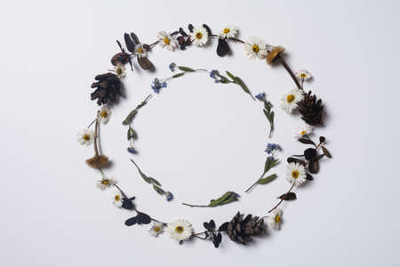 Autumn frame of dried flowers. Autumn composition of dried chamomile. Autumn background. Flat lay, top view with copy space.の写真素材