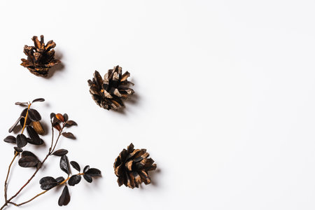 Autumn background. Pattern made of dried autumn leaves and fir cones. Flat lay, top view, copy space. Autumn, fall concept.の写真素材