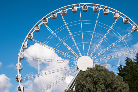 A large Ferris wheel towers in an amusement park, surrounded by trees under a bright blue sky....