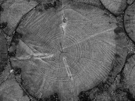 old gray wood backgroundの写真素材