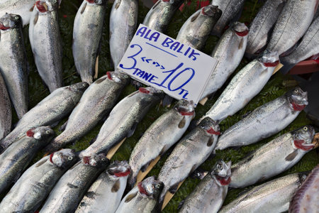 Fresh trouts on saleのeditorial素材