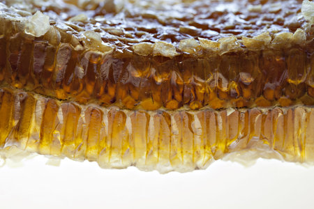 Macro view of a piece of comb honey