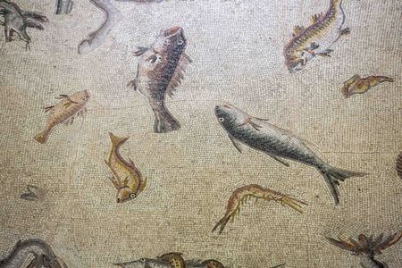 Gaziantep, Turkey - June 07, 2014: Fishes Mosaic in Gaziantep Zeugma Mosaic Museum on June 07, 2014. Zeugma Mosaic Museum in Gaziantep, Turkey is one of the largest mosaic collection of the world.のeditorial素材