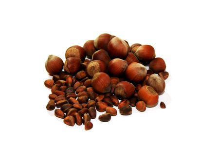 Timber and cedar nuts on white background.の写真素材