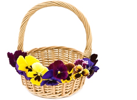 Basket decorated with flowers viola on a white background.の写真素材