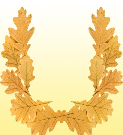 A wreath from the dried leaves of the oak on a yellow background.の写真素材
