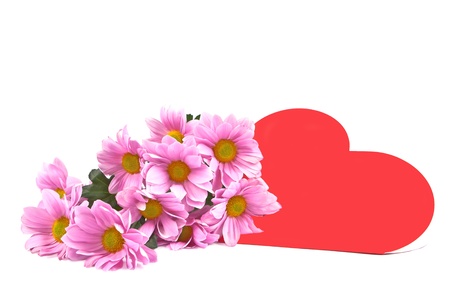 Bouquet of purple chrysanthemums and large heart on a white background の写真素材