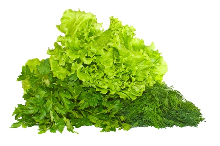 Fresh dill, parsley and lettuce on a white background, isolated の写真素材