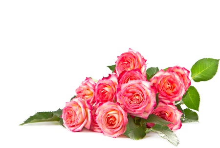 Bouquet of beautiful color of roses on a white background の写真素材