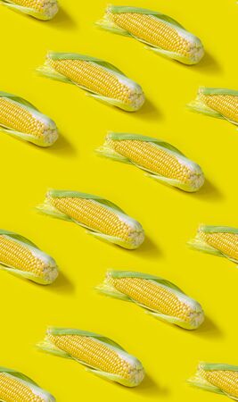 Seamless pattern. ear of fresh corn on yellow backgroundの写真素材