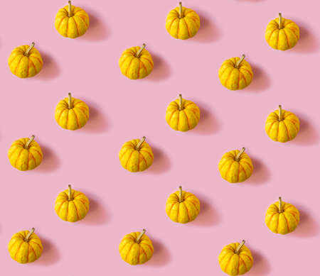 Seamless pattern with pumpkins on a pastel pink backgroundの写真素材