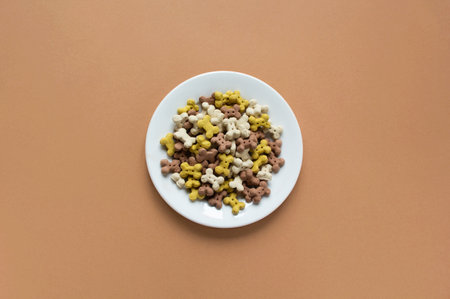 Dog dry crunchies on plate on beige backgroundの写真素材