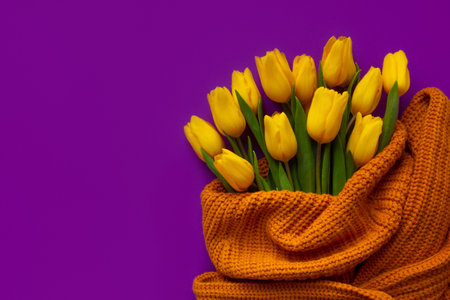 Fresh yellow tulips in scarf on purple background. Copy spaceの写真素材