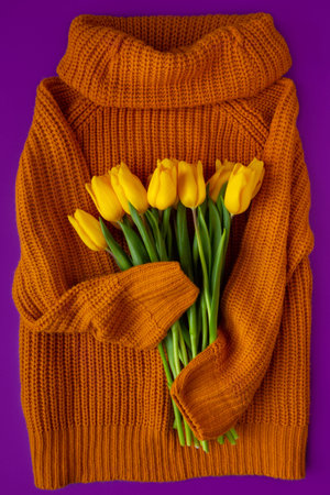 Woman sweater and Fresh yellow tulips on purple background
